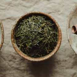 mirkostoedter-sencha-7807228